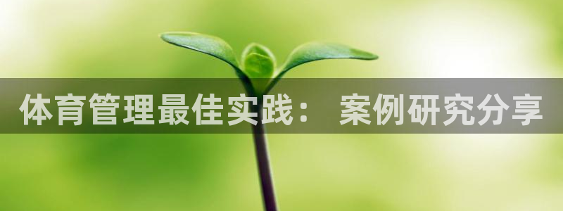 必一体育手机下载：体