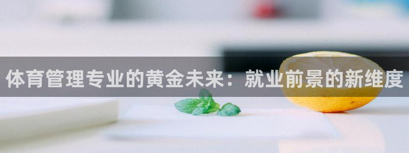 必一体育最新官网入口