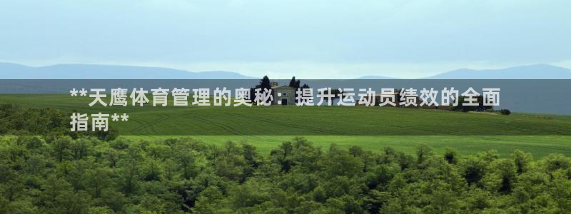 b体育必一运动网页版