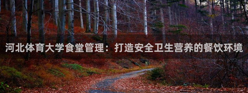 必一体育sport：