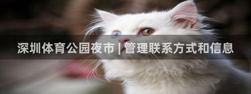 必一运动验证码：深圳