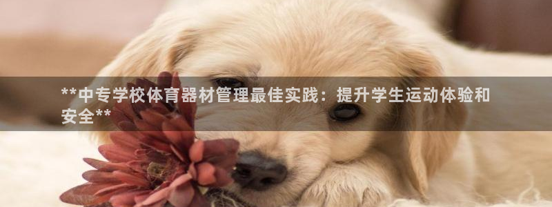 必一体育sport：