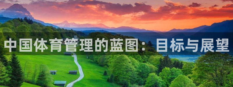 必一体育运动app：