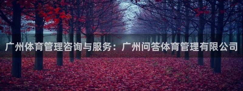 必一体育官网入口：广