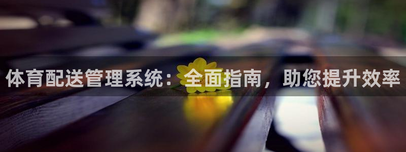 必一体育手机下载：体