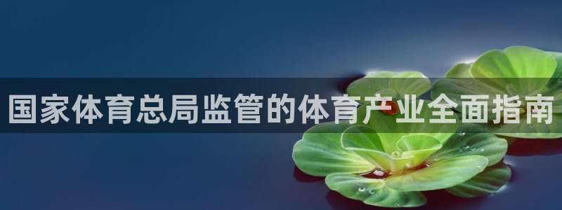 必一体育app官方网