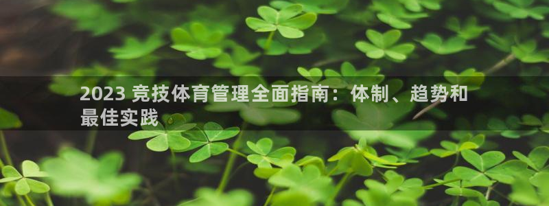 必一体育下载一样吗：