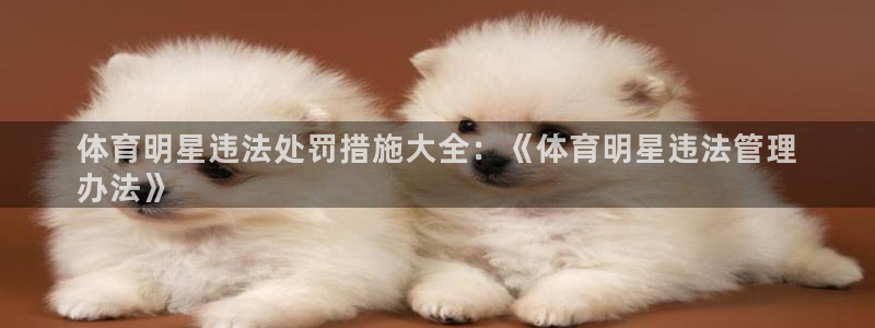 必一体育全站在线登录