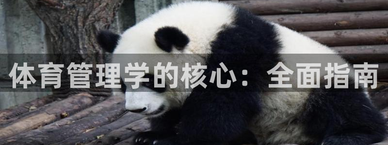 必一运动官网平台：体