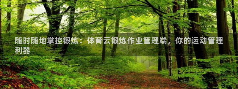 必一体育游戏玩法：随