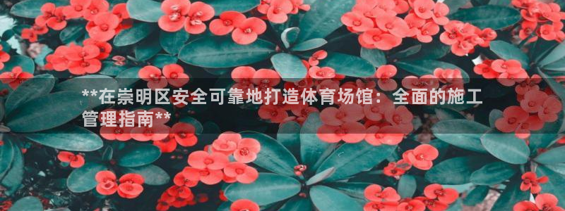 必一体育流水线是什么