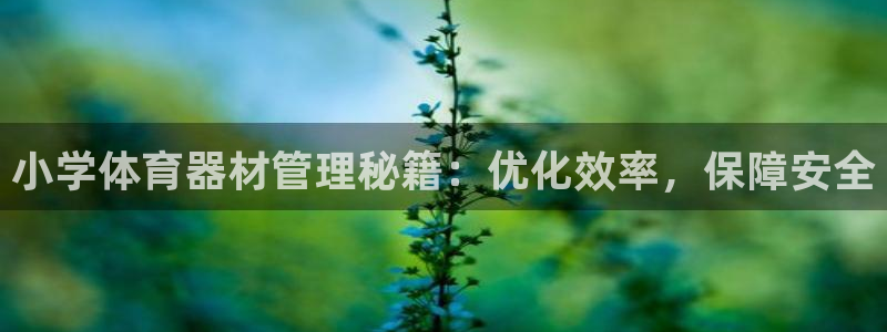 必一运动官网平台：小