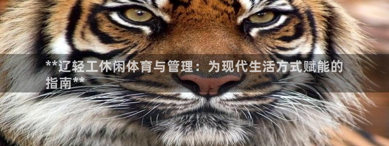 必一体育在线官网：*