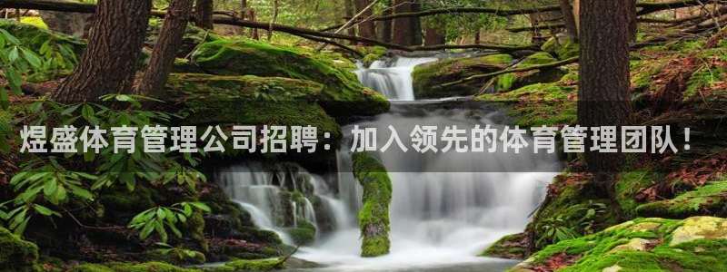 必一体育旧版：煜盛体