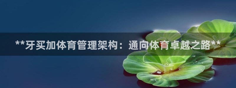 必一体育app官方：