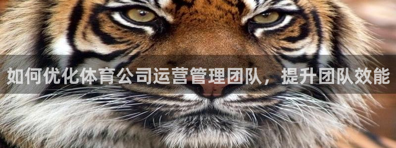 必一体育sport装