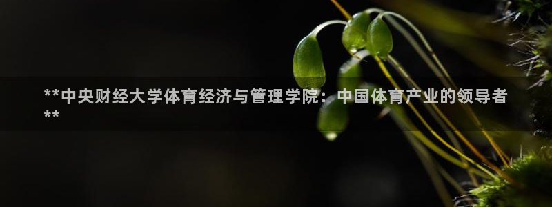 必一体育秀给网：**