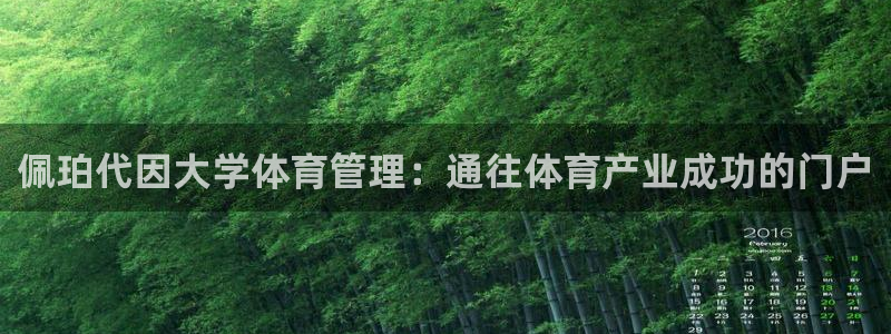 必一体育app官方正