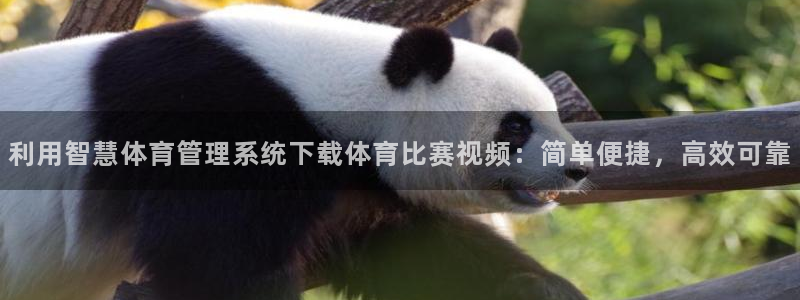 必一运动·体育：利用