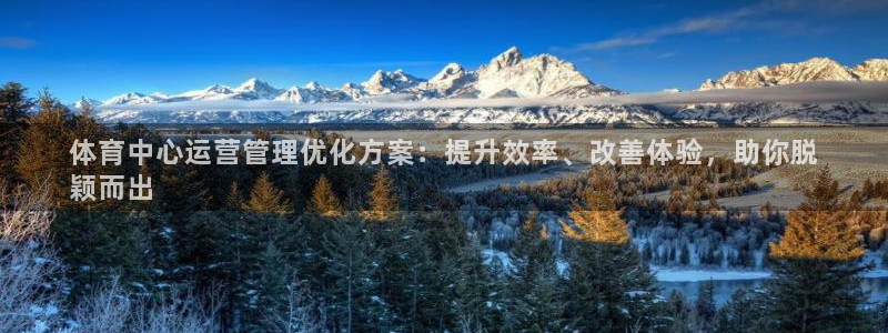 b体育必一下载：体育