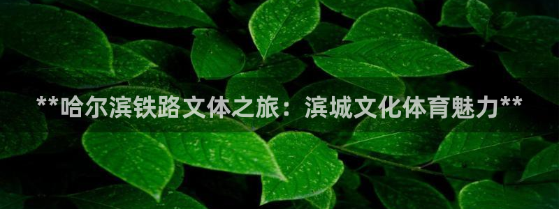 必一体育网页版登录：