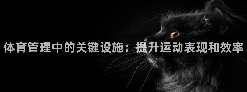 必一体育官网网站：体