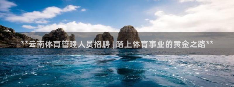 必一体育在线下载：*