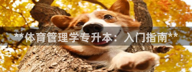 必一运动aop：**