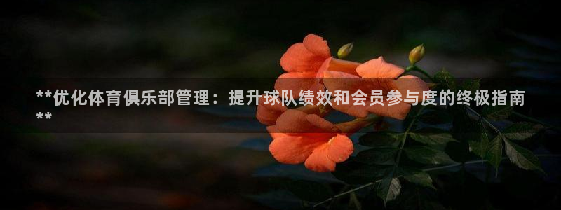 必一体育sport装