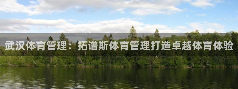 必一体育官方网站入口