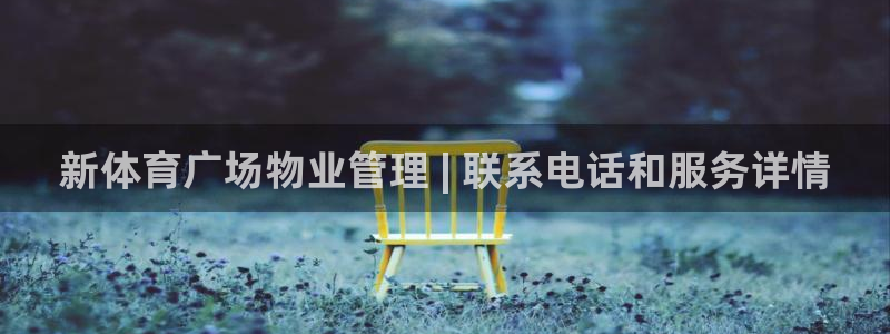 氵必一一厂一：新体育