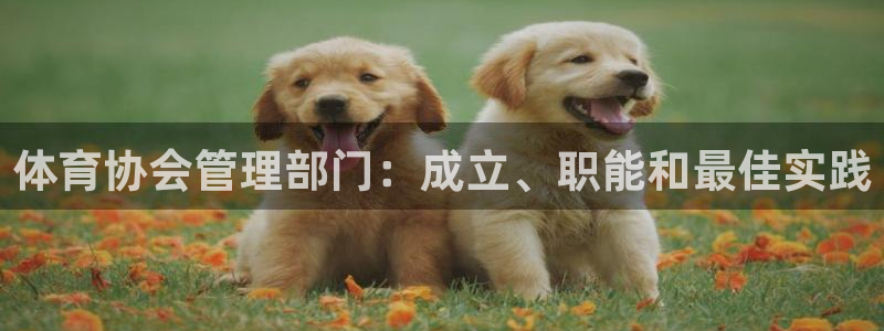 必一体育sport：