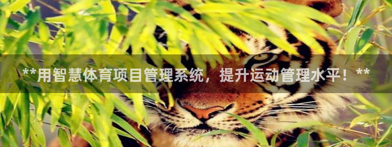 必一体育app官方下