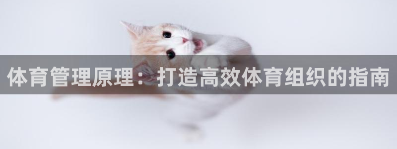 必一体育官网网址：体