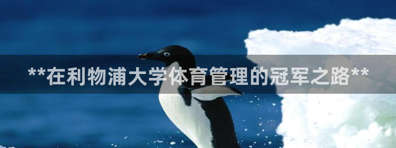 必一体育在哪下：**