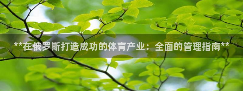 必一体育下载入口：**在俄罗斯打造成功的体育产业：全面的管理