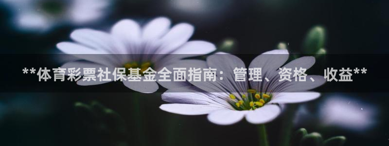 必一体育平台：**体育彩票社保基金全面指南：管理、资格、收益