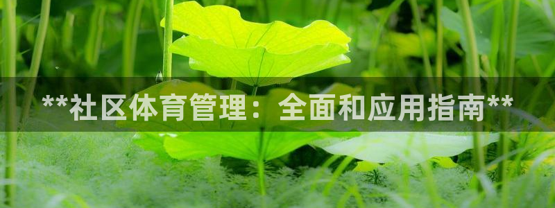 必一运动体：**社区