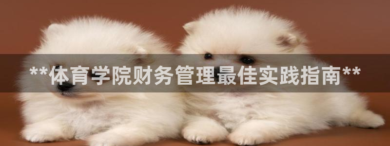 必一体育网页版登录：