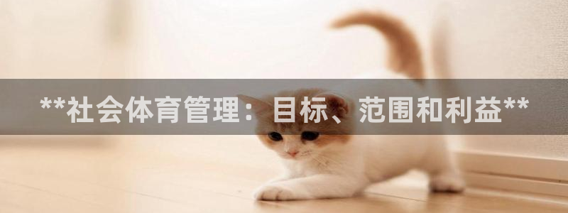 必一体育全站在线登录