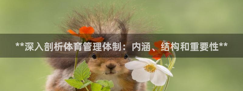 必一体育sport官