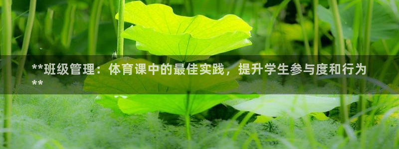 必一体育网页版登录：
