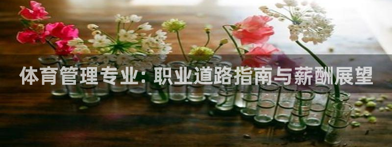 必一体育app官方下载入口：体育管理专业: 职业道路指南与薪