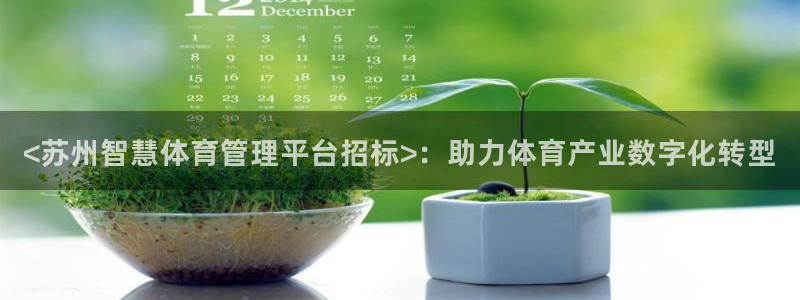必一体育下载app下载：<苏州智慧体育管理平台招标>：助力体