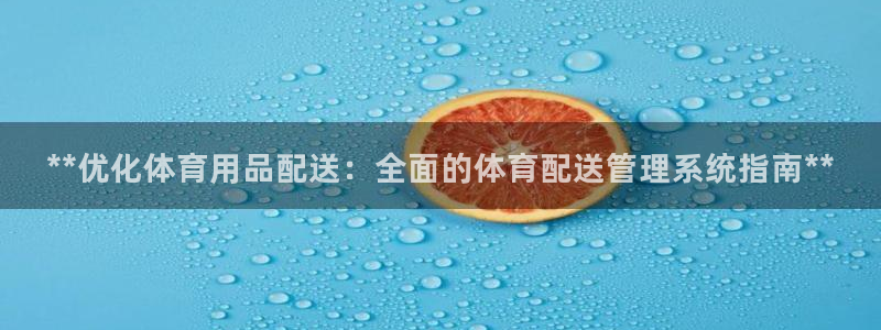 必一体育在哪下：**优化体育用品配送：全面的体育配送管理系统