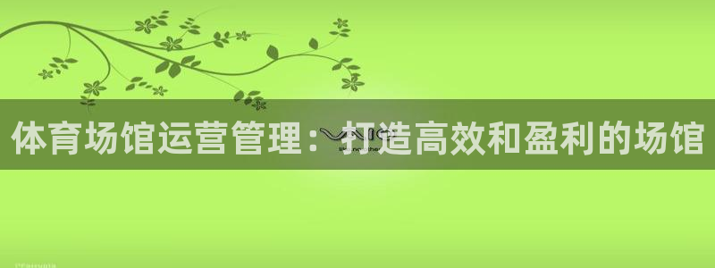 必一体育登录：体育场馆运营管理：打造高效和盈利的场馆