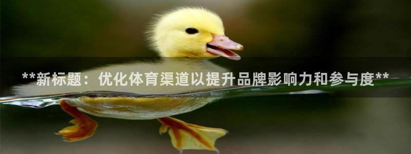 必一体育登录APP下