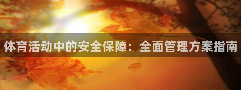 必一运动体：体育活动中的安全保障：全面管理方案指南