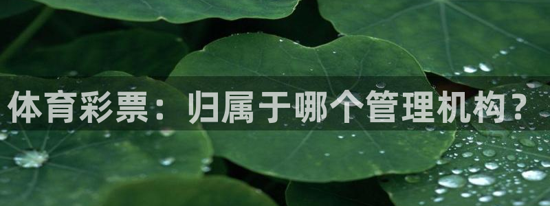 必一体育是哪里的台子