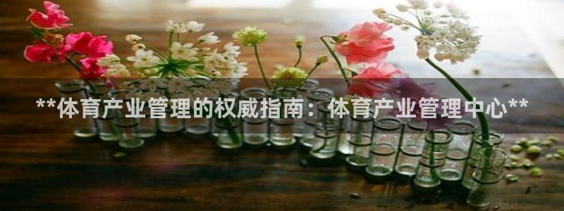 必一运动官网装机吧：**体育产业管理的权威指南：体育产业管理